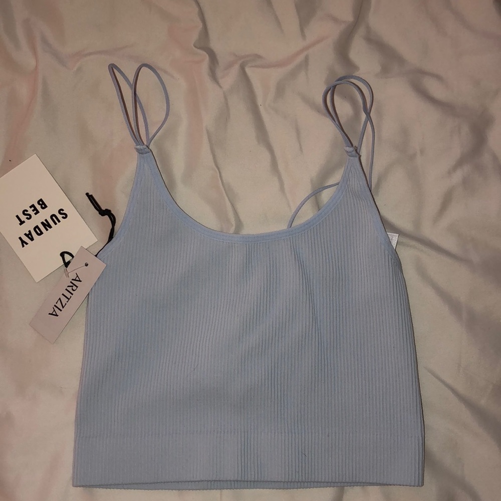 Aritzia Crop Top
